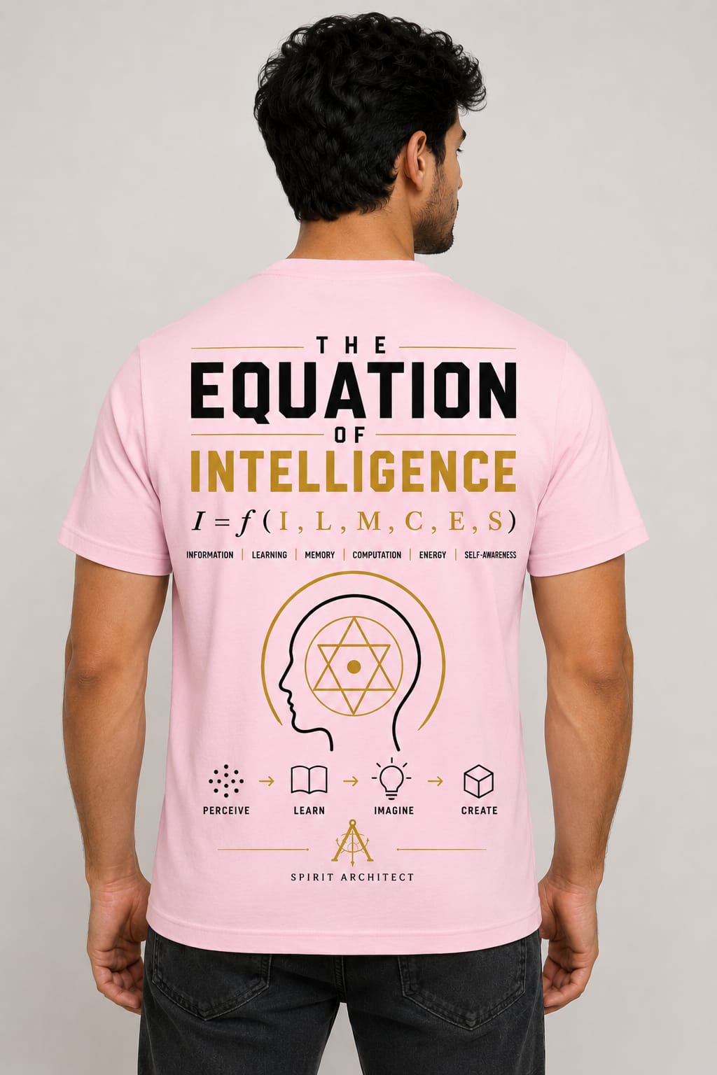 THE EQUATION OF INTELLIGENCE – Men’s Oversized T-Shirt