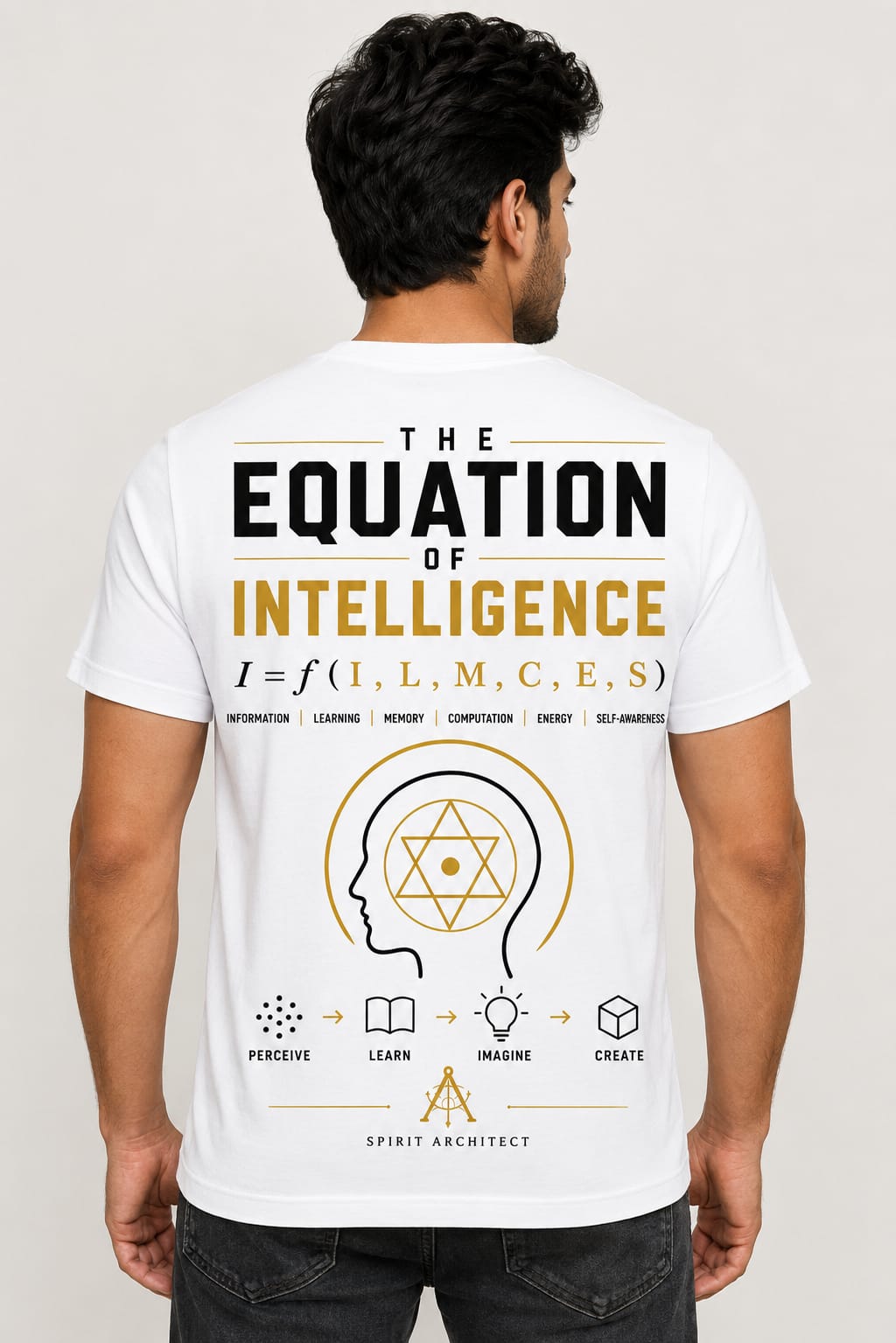 THE EQUATION OF INTELLIGENCE – Men’s Oversized T-Shirt